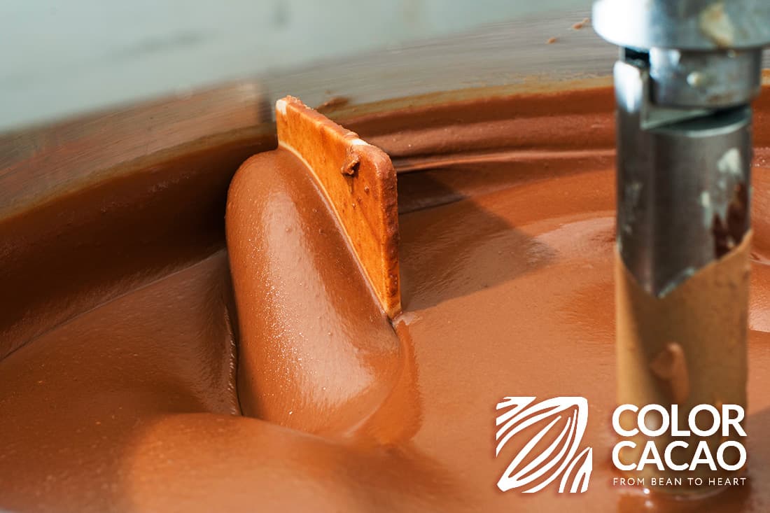 Somos Color Cacao - COLOR CACAO