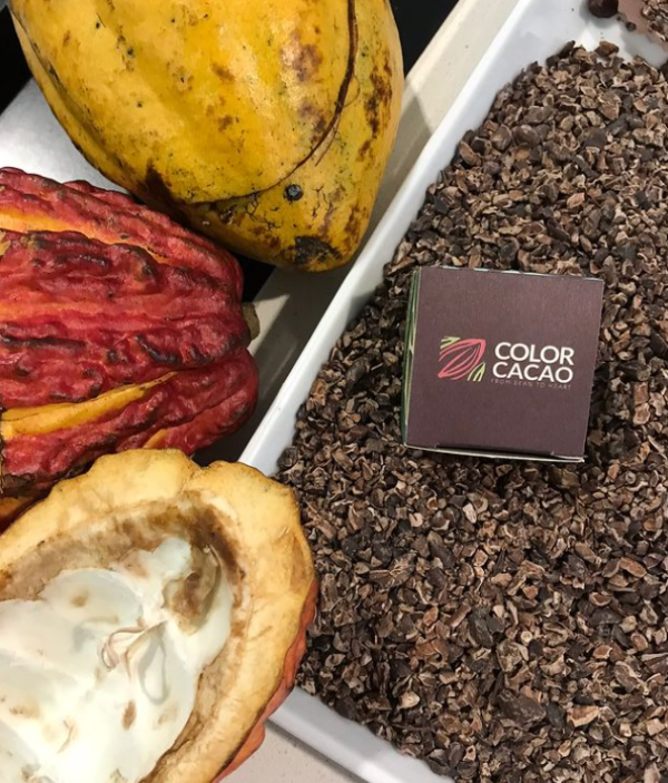 Sitemapcdatahttpwen2windecoocomblond Cacao Froidnull