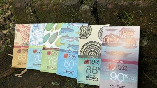 regiones cacaoteras