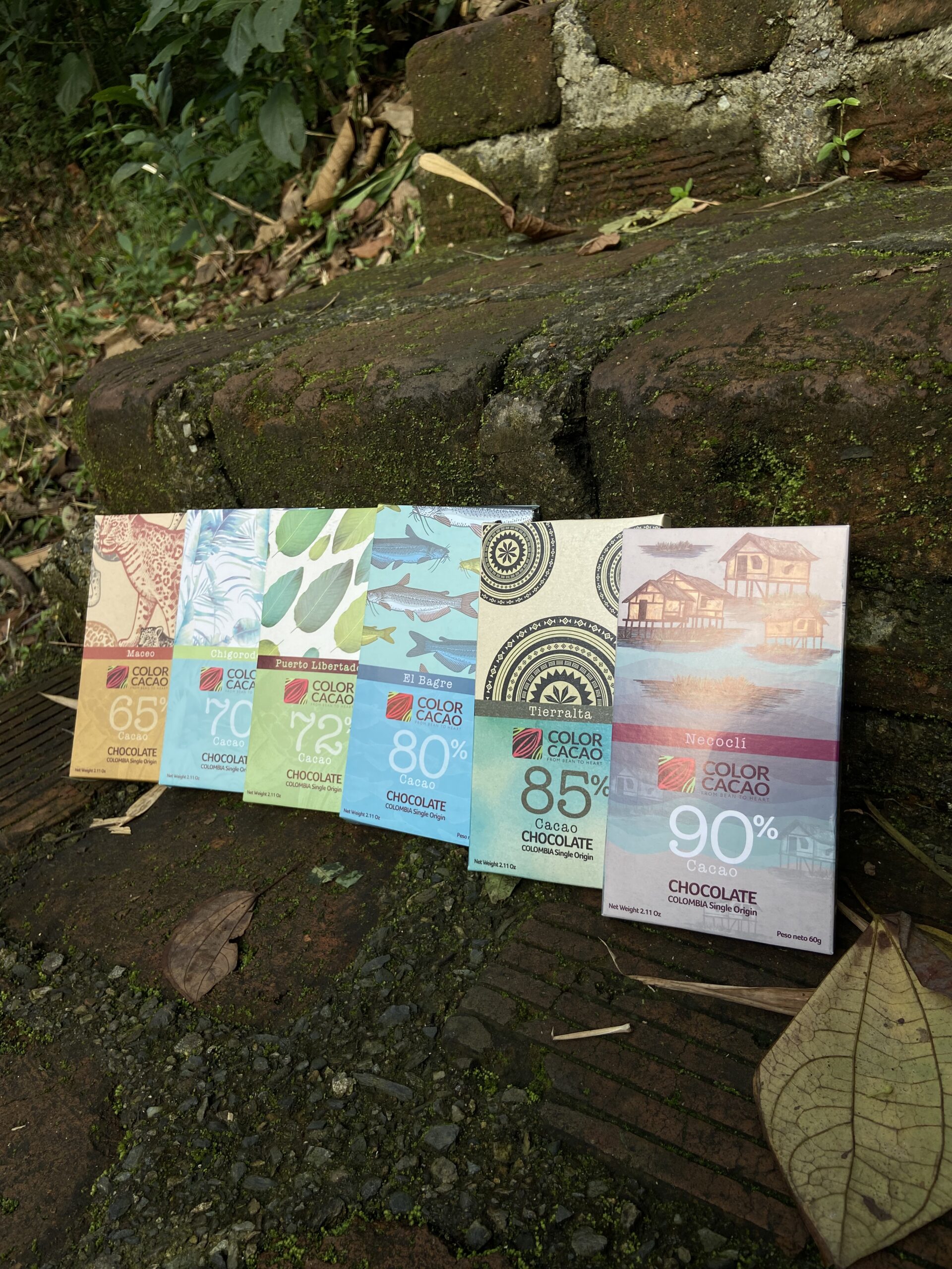 regiones cacaoteras
