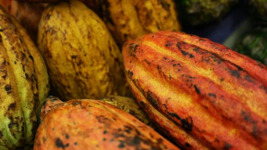cacao colombiano