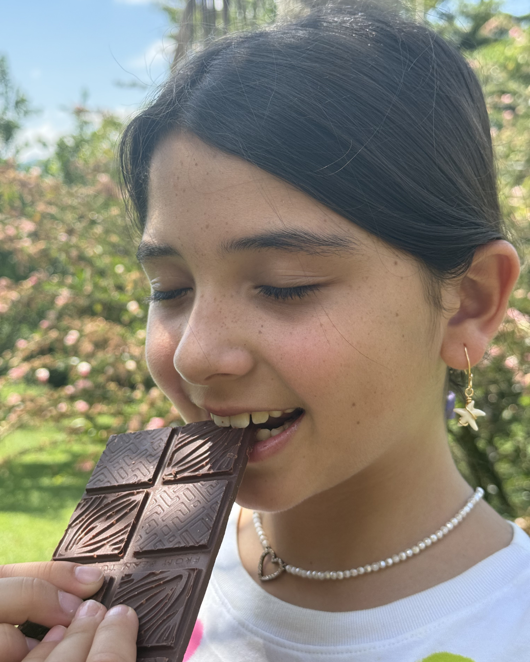 chocolate artesanal